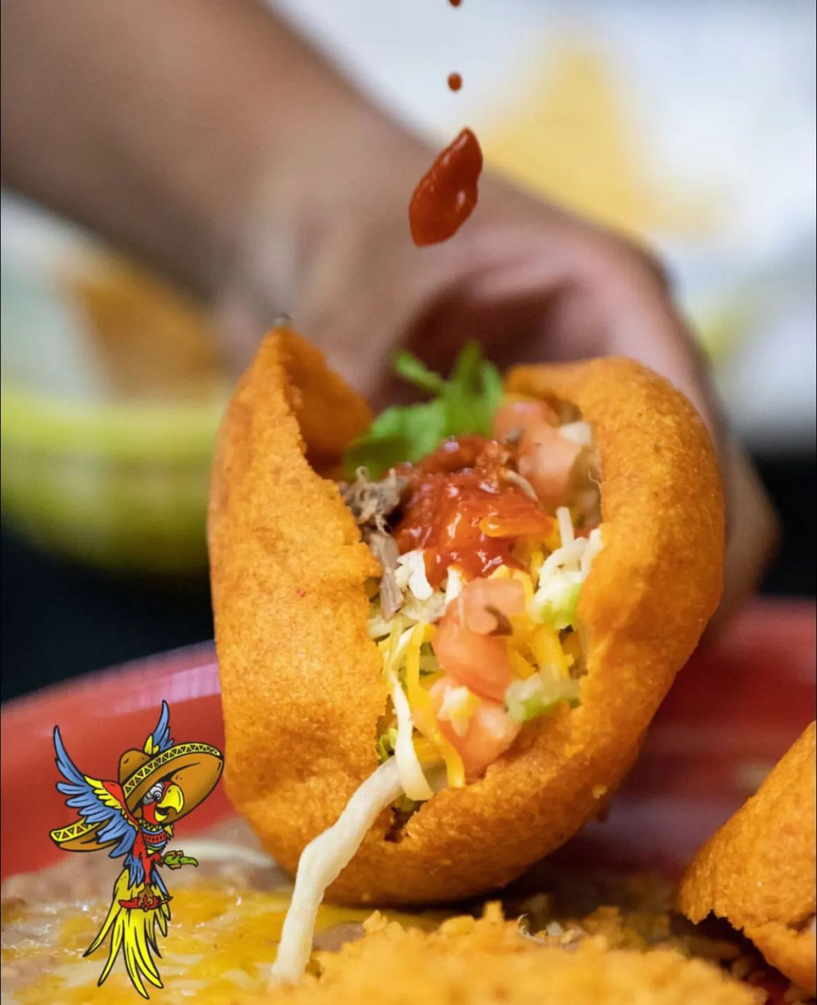 Gordita plate